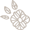 flower-graphic flower-graphic